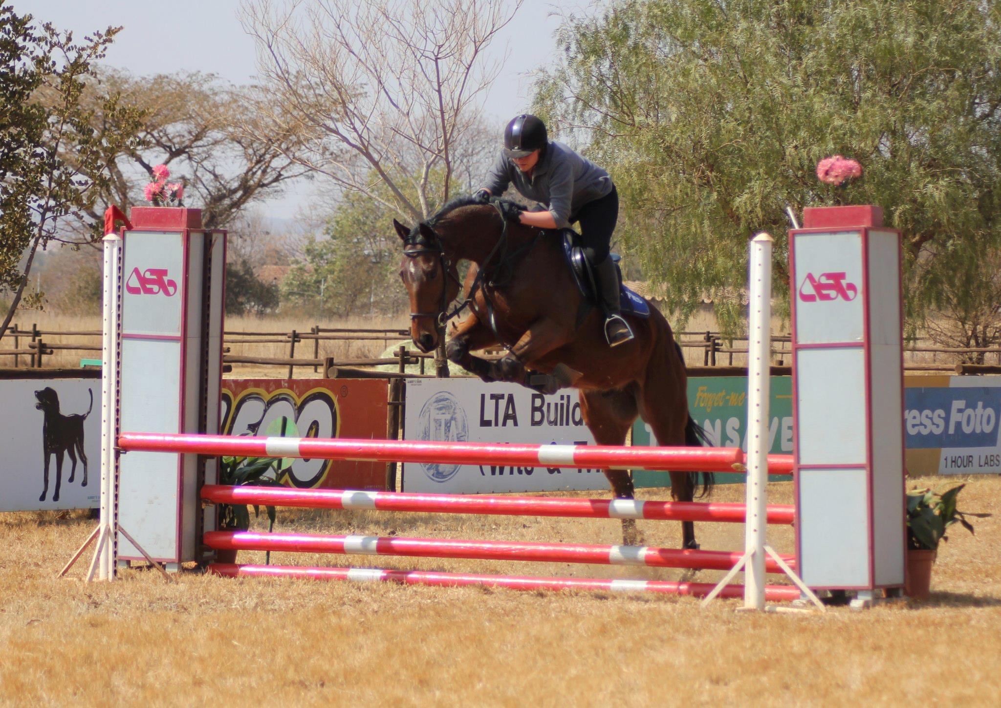 Horse Riding Pretoria