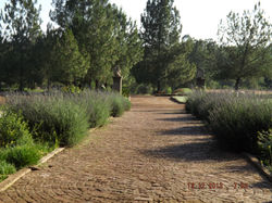 DSCF1468.JPG