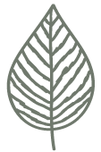 justnatiro-feuille.gif