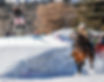 20230129_SKIJORING_0710.jpg