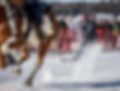 20230129_SKIJORING_0448.jpg