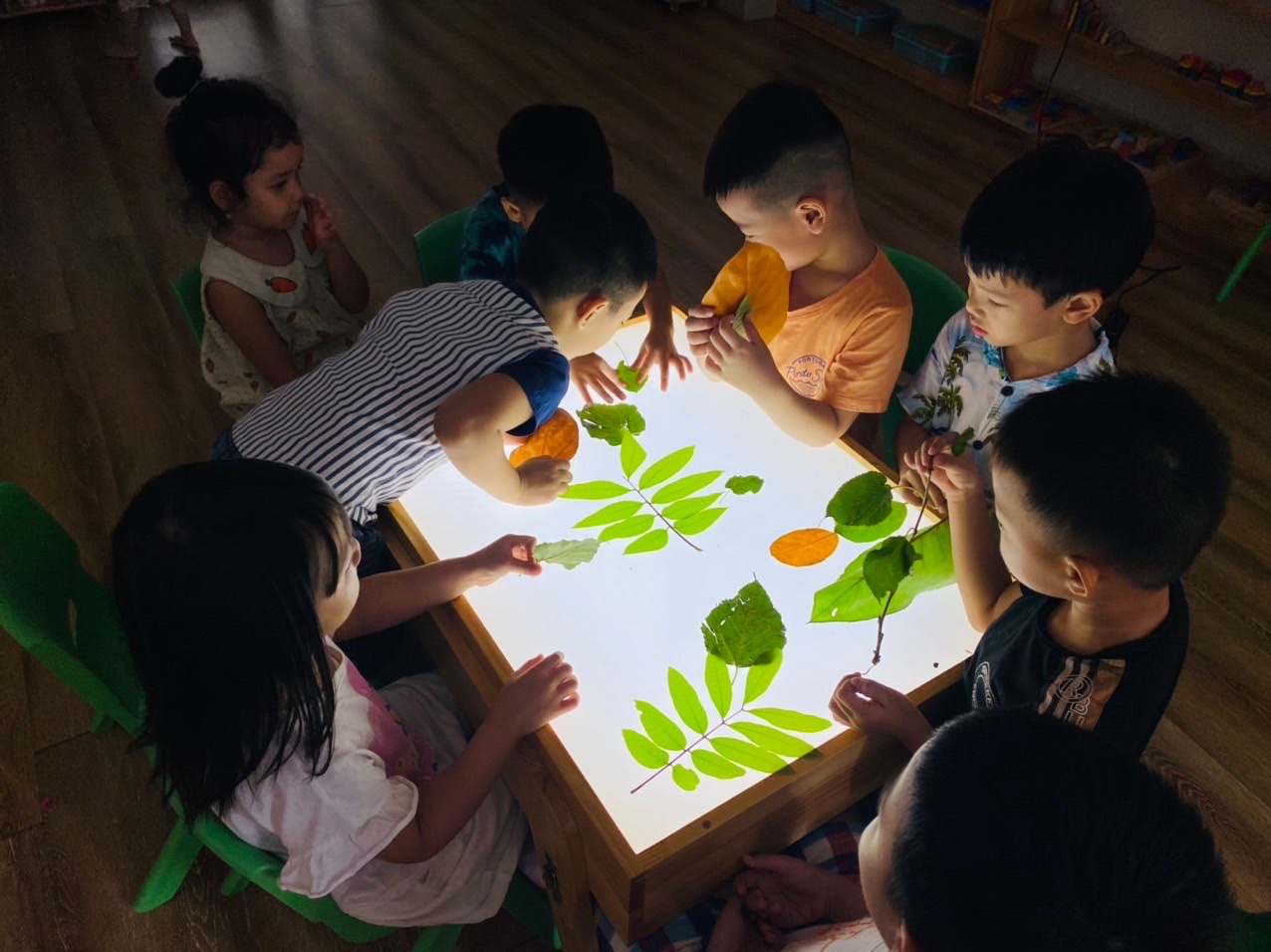 Đội ngũ giáo viên tận tâm