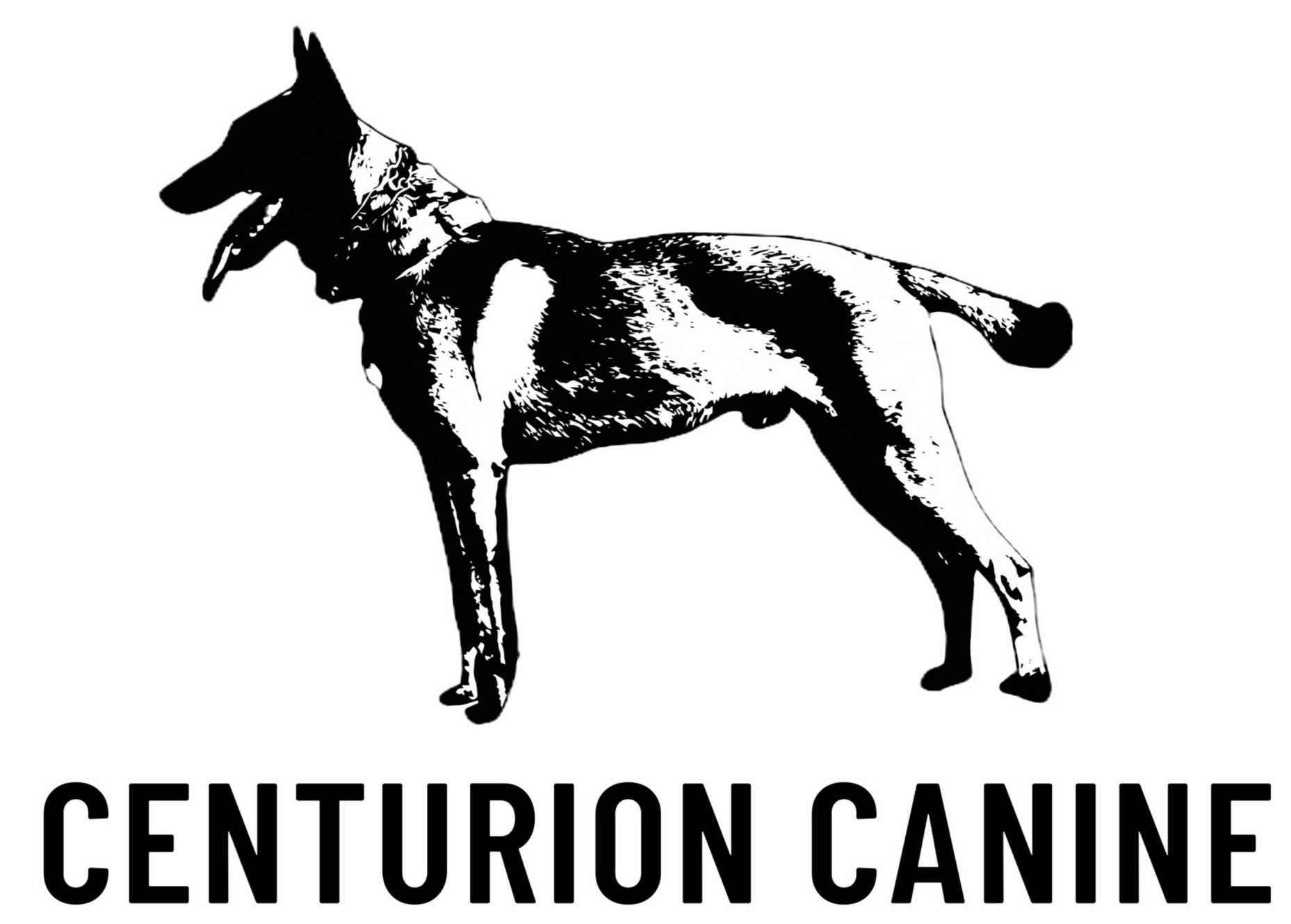 police-k9-centurion-canine