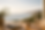 Web page new photo.png