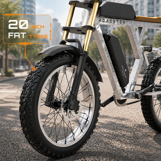 Himalaya Roadster Electric Bicycle | Himalaya Motors Himalaya Roadster Electric Bicycle | Himalaya Motors