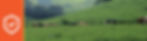 header-politicas-de-calidad.jpg