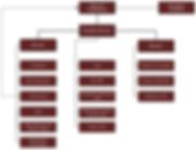Organization Structure PAS - Website.png