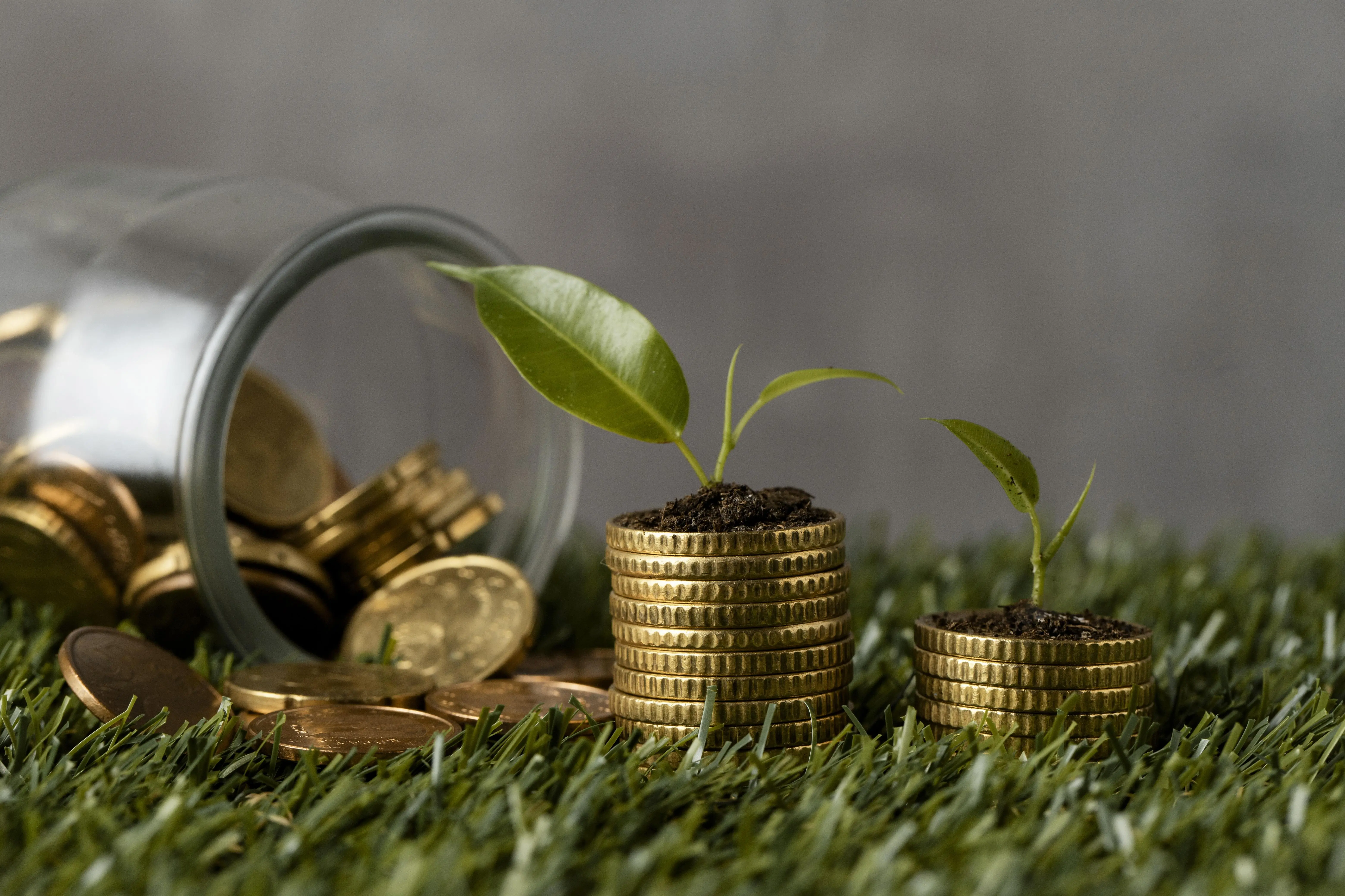 Capital Gain adalah