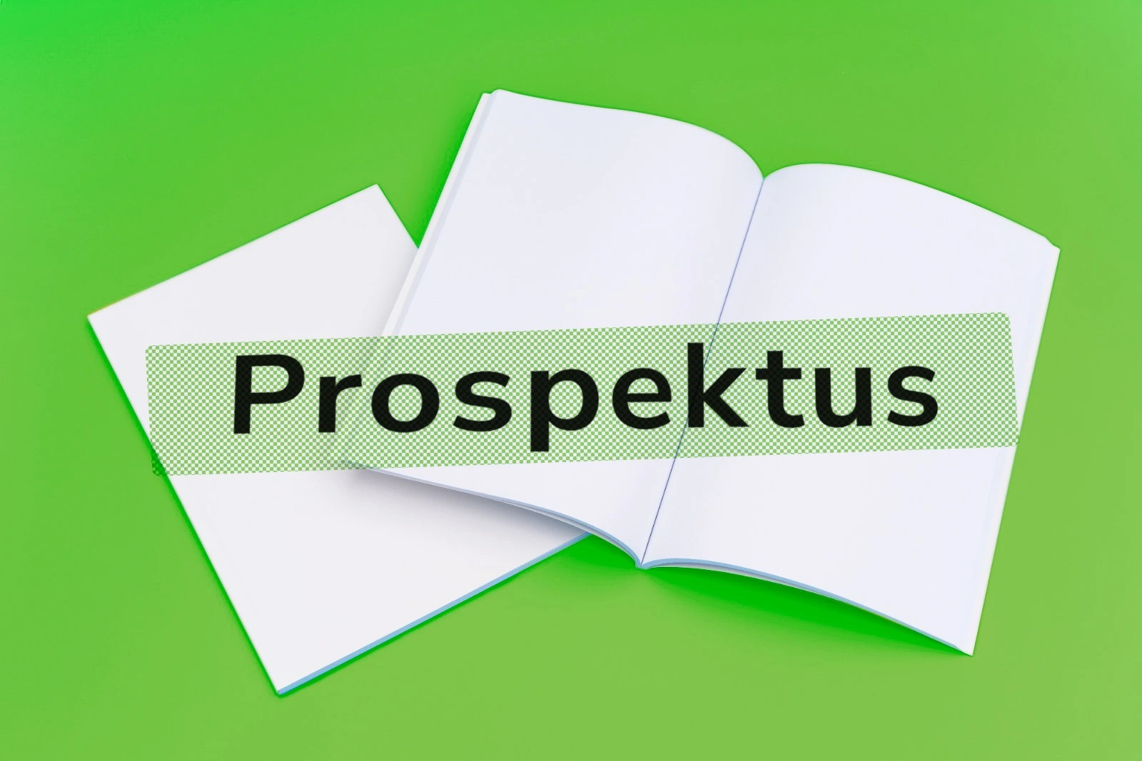 Prospektus adalah