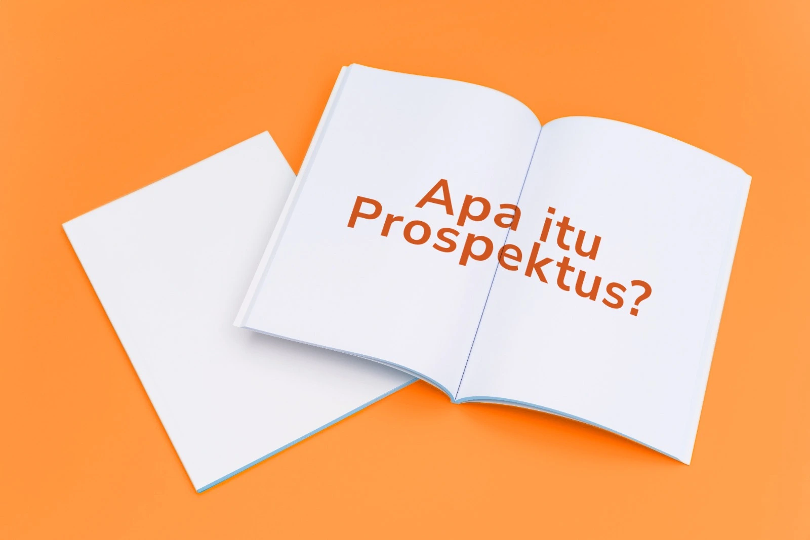 Apa Itu Prospektus?