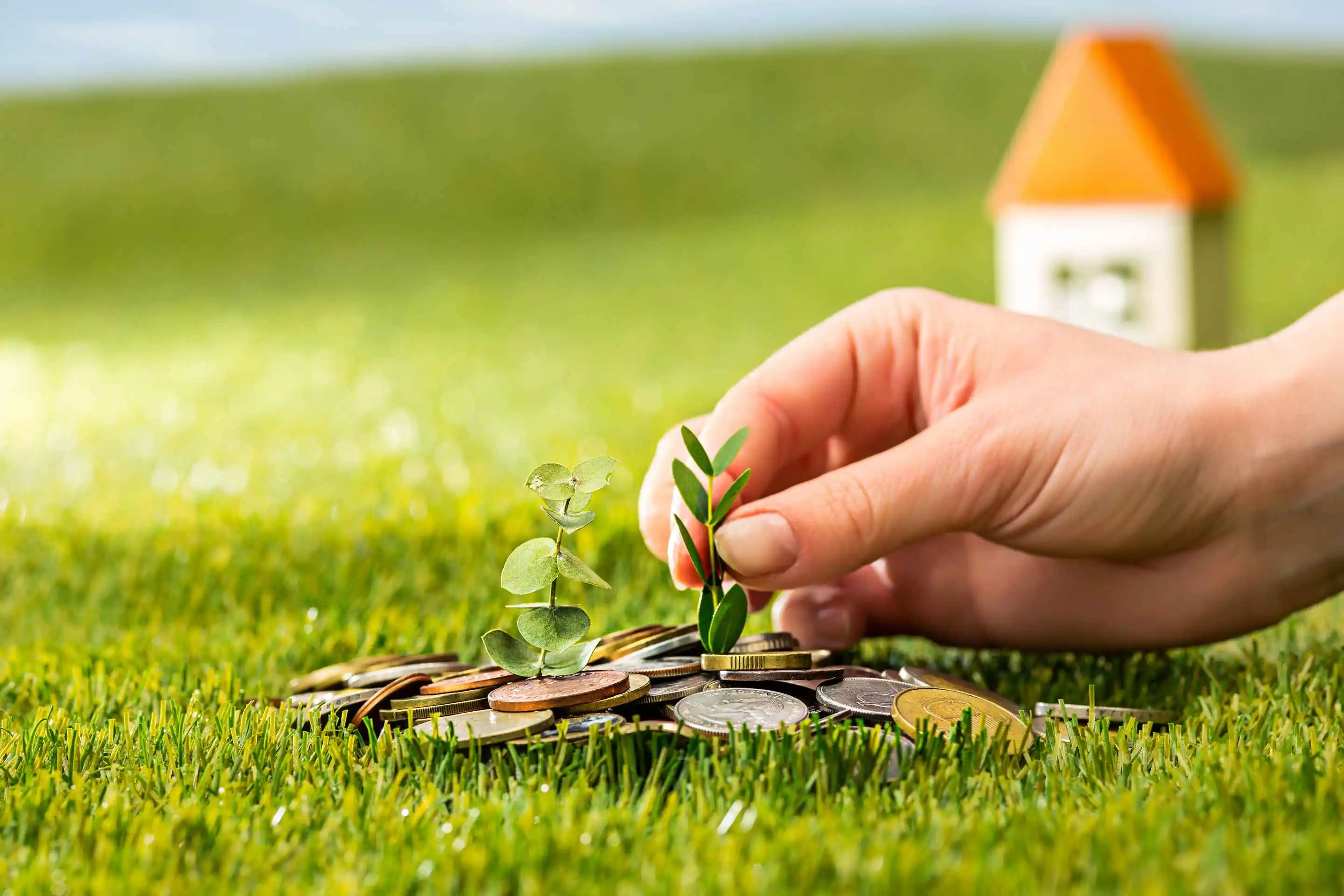 Tujuan & Contoh Investasi Jangka Panjang