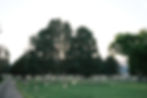 DSCF2653