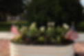 Main Street Planters.jpeg