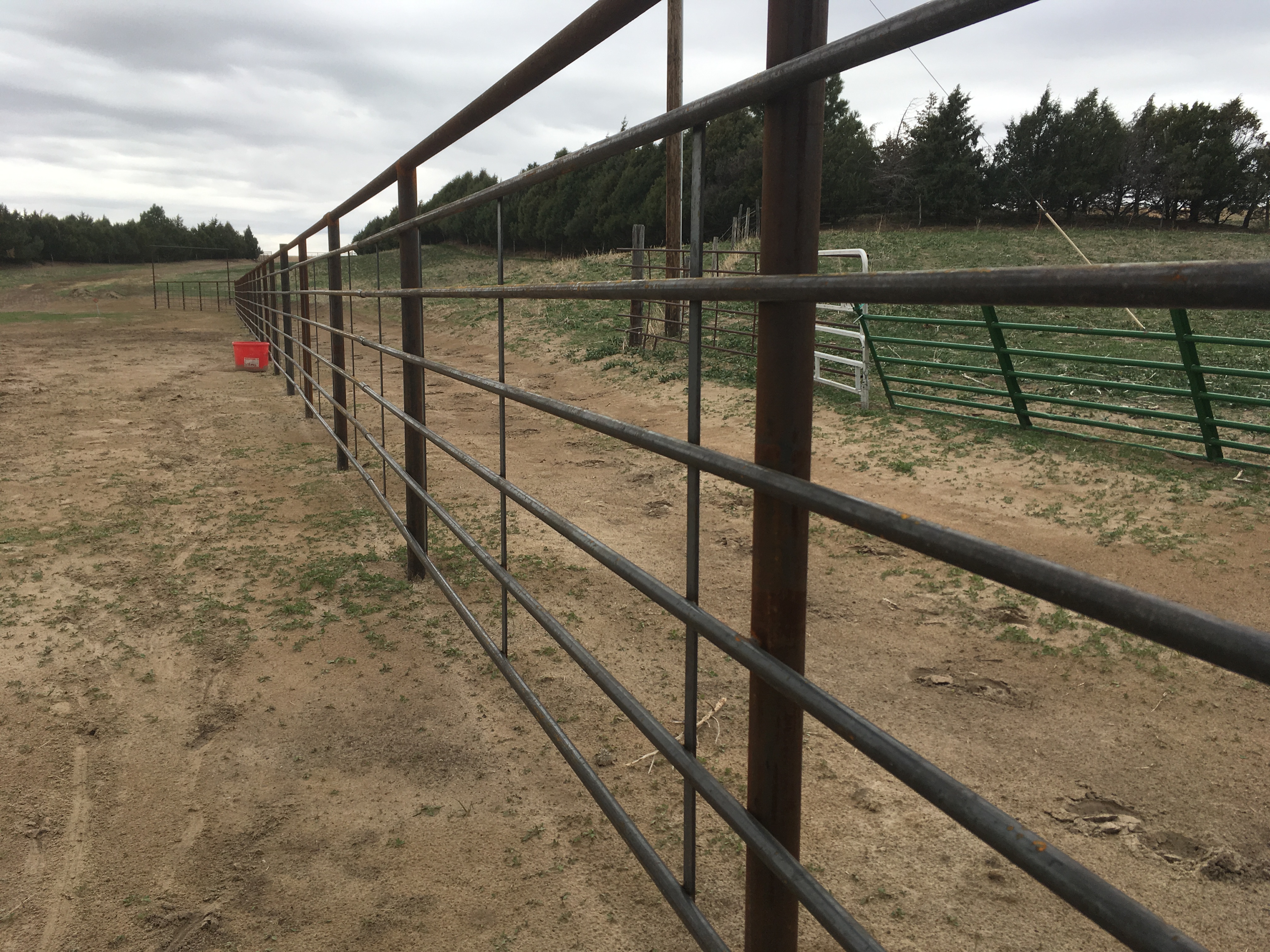 Continuous Fence lewislivestocksupply