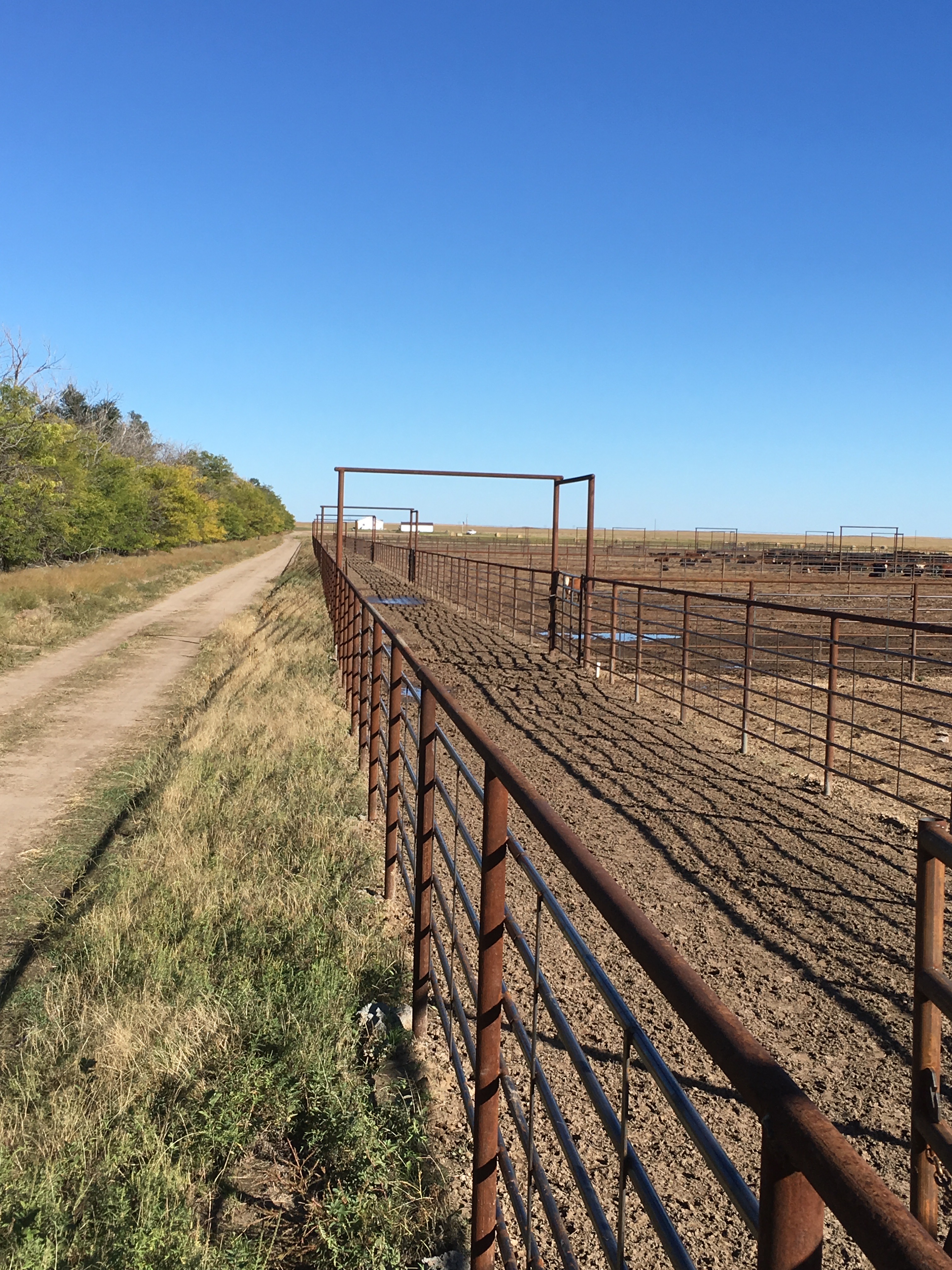 Continuous Fence lewislivestocksupply