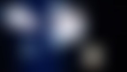 How a Jelly Fish and your Pelvic Floor are related