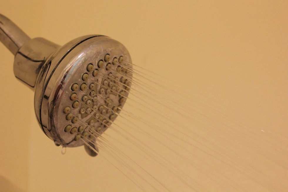 A running shower head with mould, mildew, and limescale visible on its shower plate. This can cause skin issues such as rashes and itchiness.