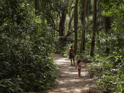 Trilha cercada pela Mata Atlântica em Itacaré