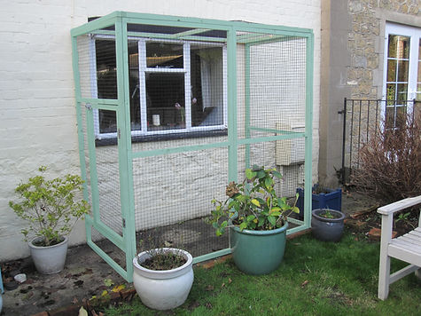 CATIO wall mounted 02 - blue.jpg