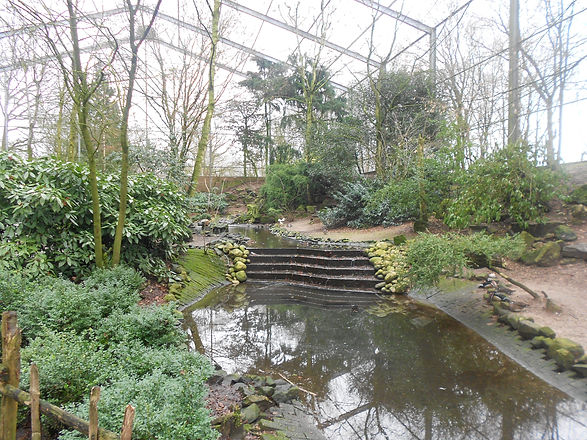 aviary 26.jpg