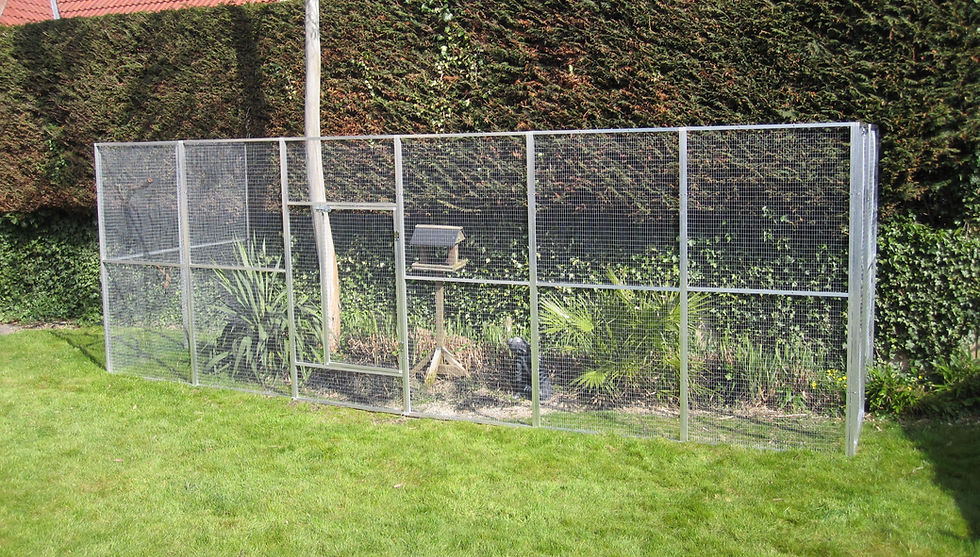 aviary metal large march 2022 004_edited.jpg
