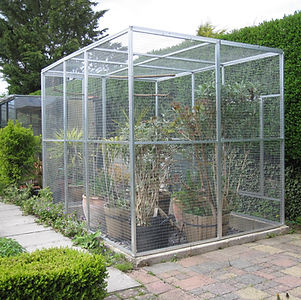 add to Aviary 8x6 - April 2022 002.jpg