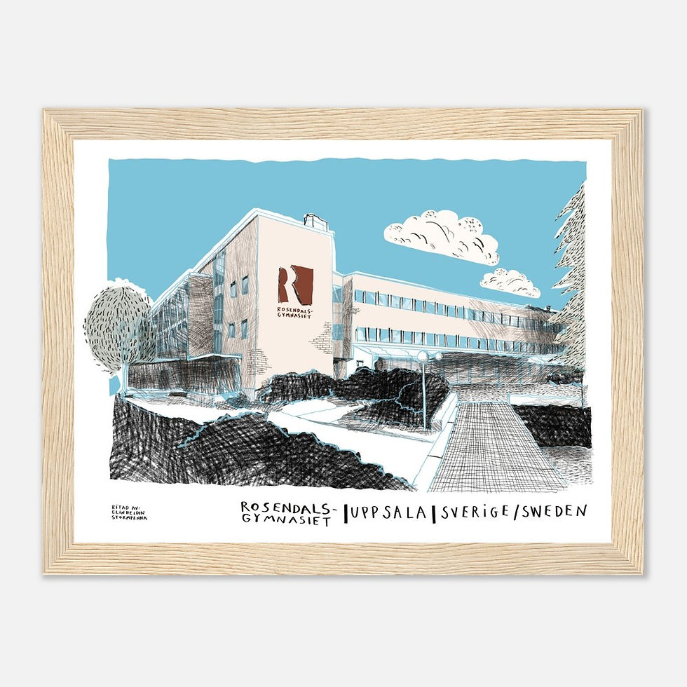 Miniatyrbild: Rosendalsgymnasiet i Uppsala - konsttryck med träram
