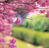 Spring Newsletter, 2025