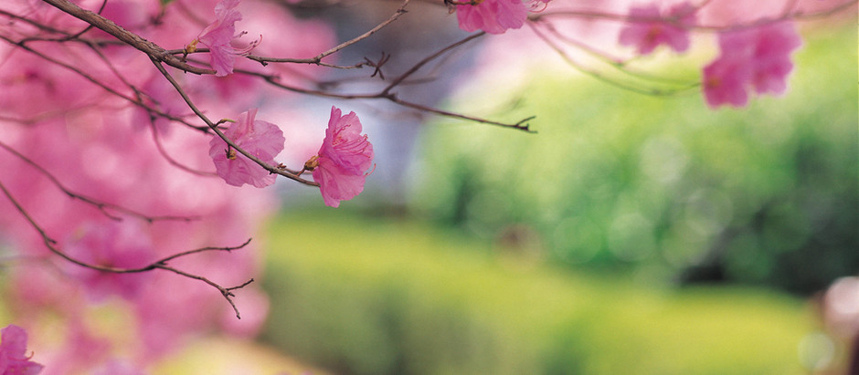 Le ménage de printemps!