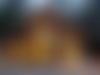 What Is The Best Wood To Build A House