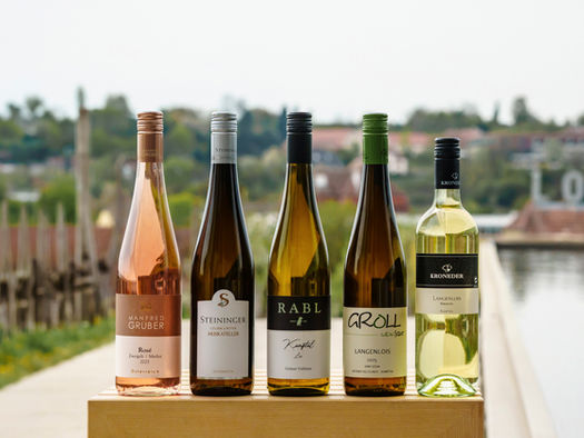 Weinchampions Frühjahr 2026