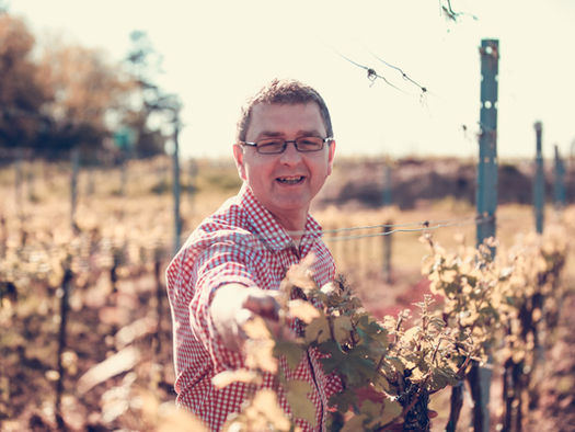 Weingut Traunfellner neu im Ursin Haus
