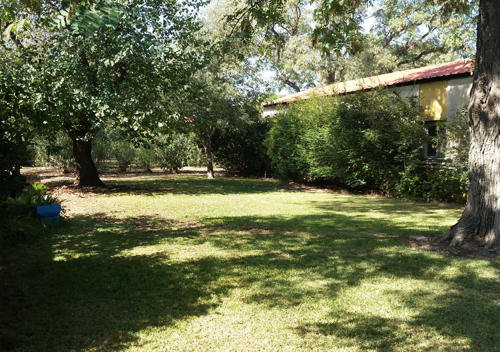 Around the kibbutz