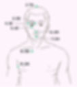 n outline of an upper body and head with 8 meridian points