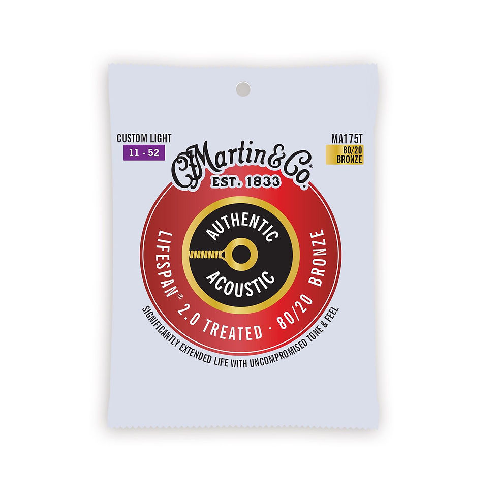 Martin  Lifespan 2.0 MA175T 11-52 80/20 Bronze