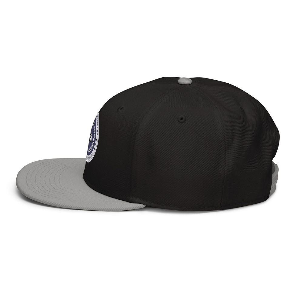 Thumbnail: Snapback Hat