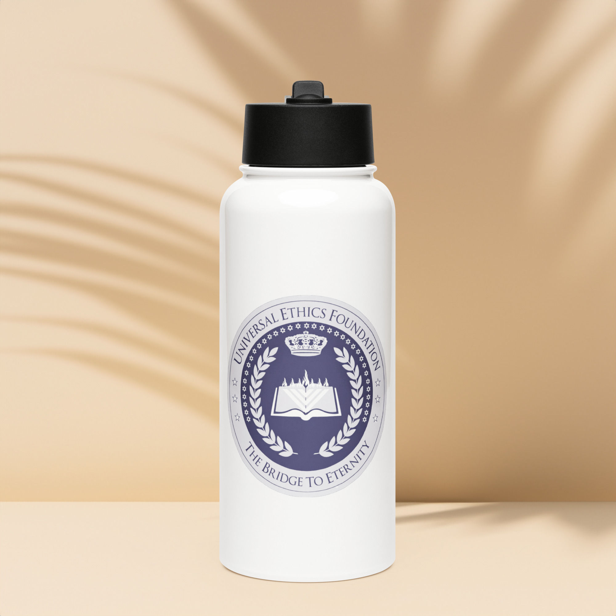 Stainless steel water bottle with a straw lid