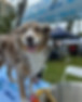 IMG_6683.jpeg