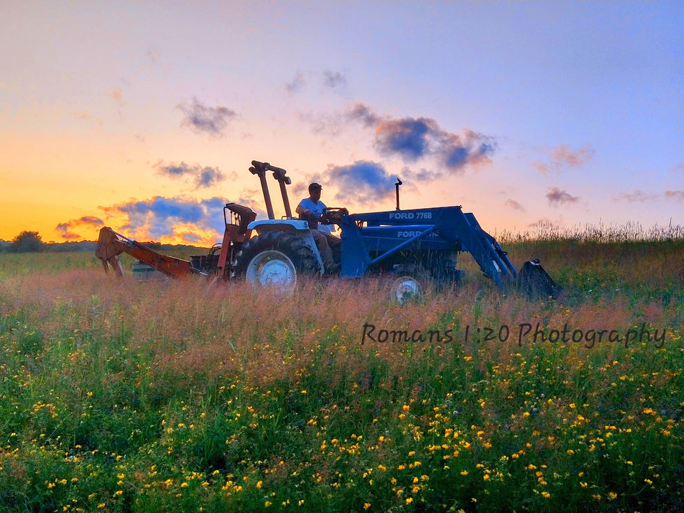 Cultivating