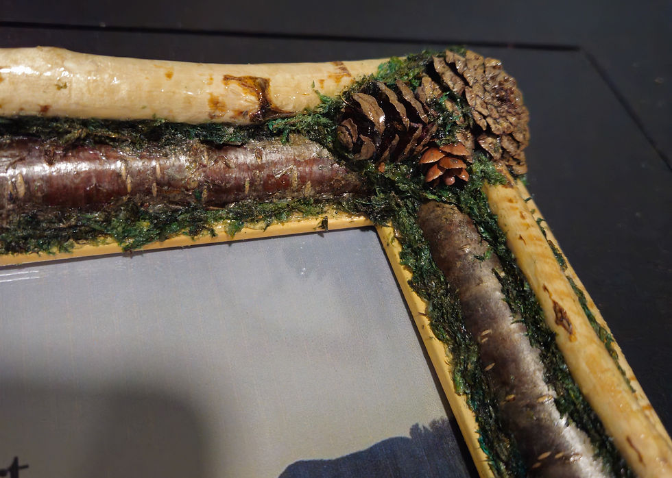 Thumbnail: Beaver dam twig frame 8x10