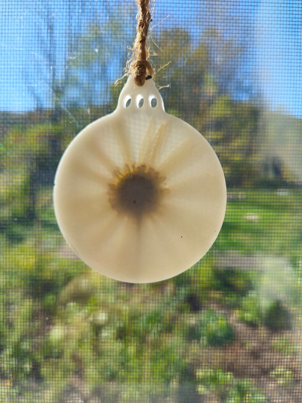 Thumbnail: Wild daisy ornament 