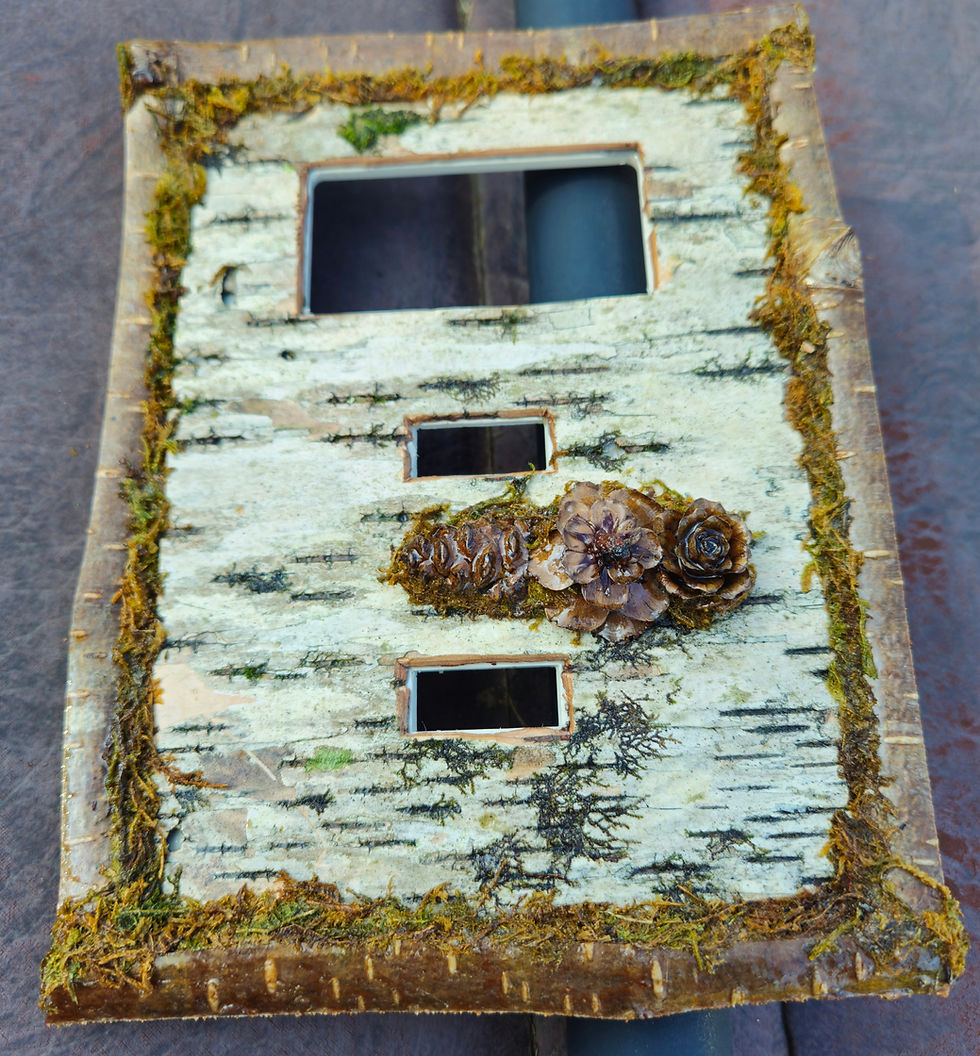 Thumbnail: Birch & pinecone switch plate