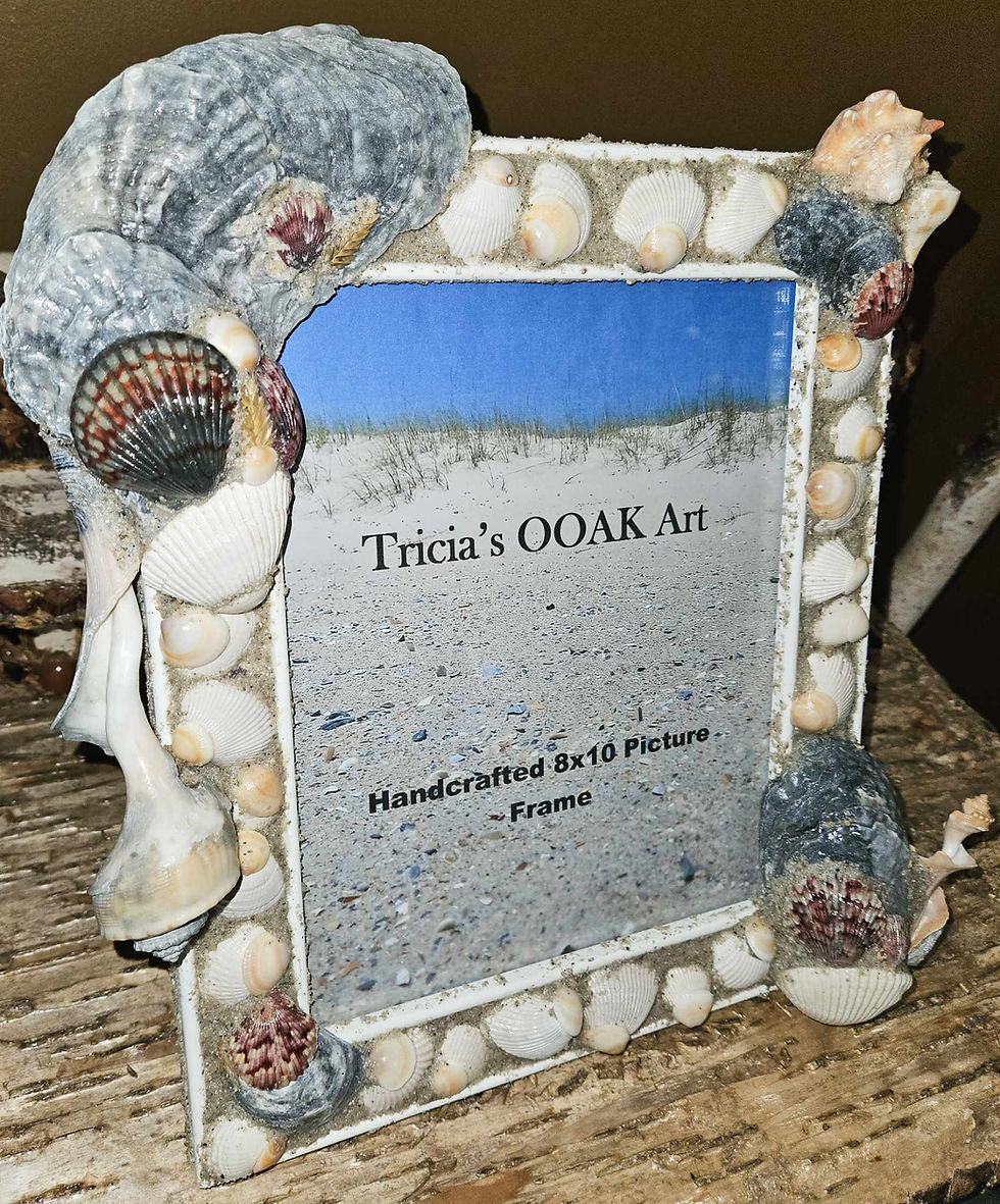 Thumbnail: Seashells on Seashells picture frame