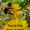 Thumbnail: You're the Bees Knees card