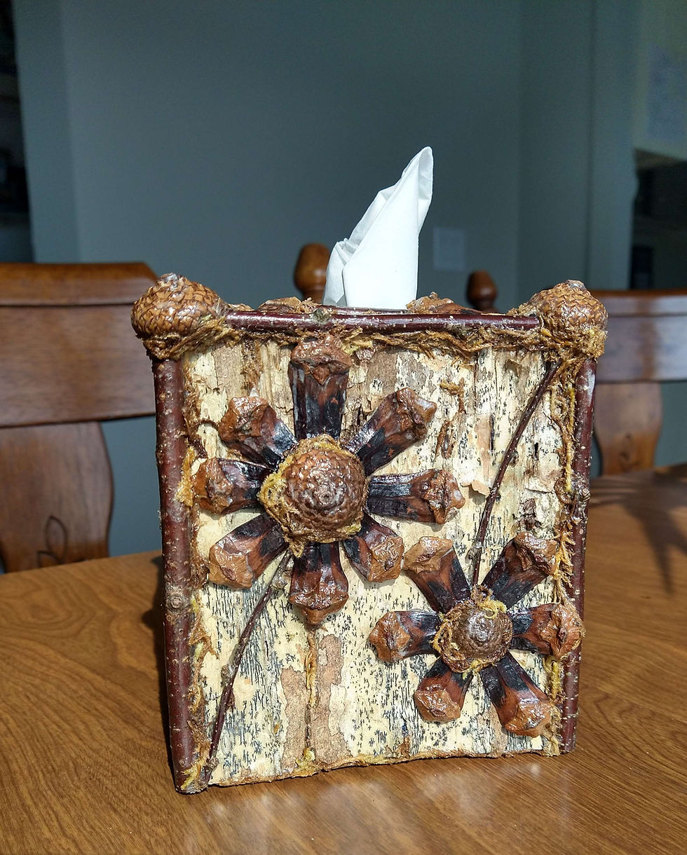 Yellow Birch Bark Tissue Box