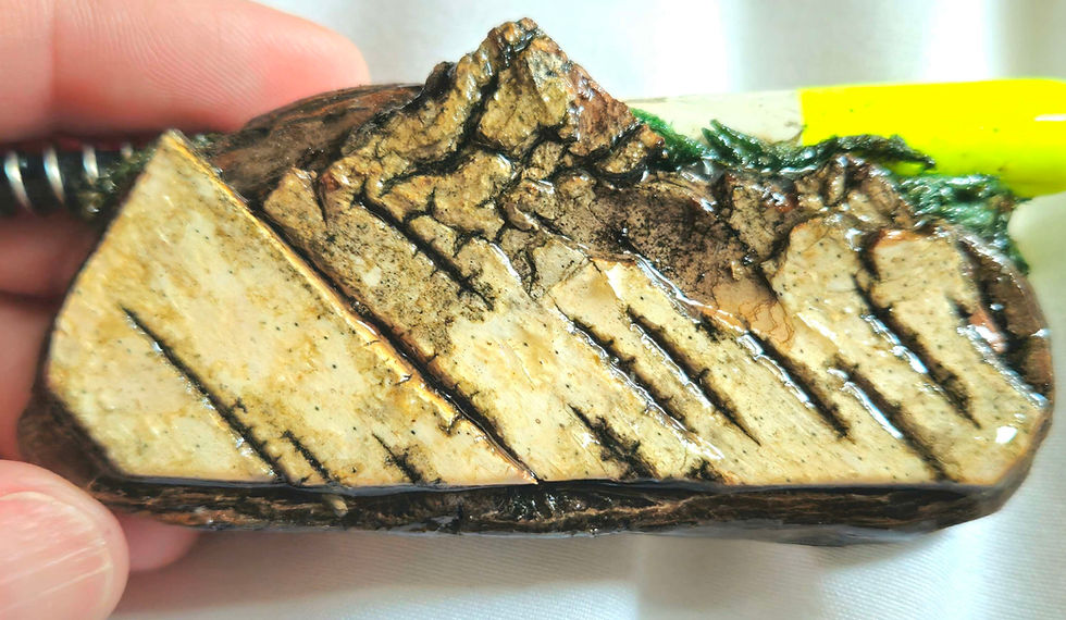 Thumbnail: Birch mountain lure magnet