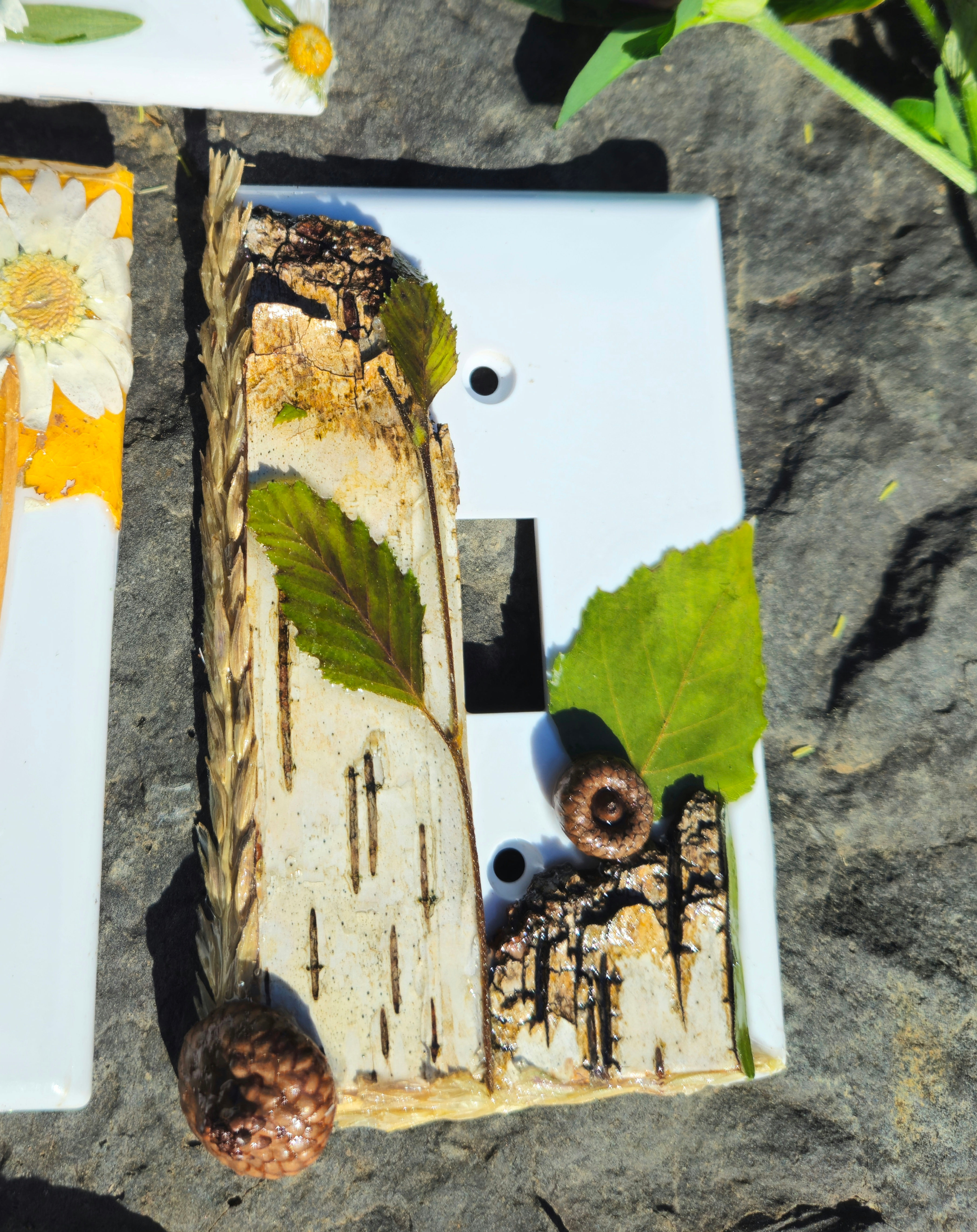 Birch and pressed leaves switch plate
