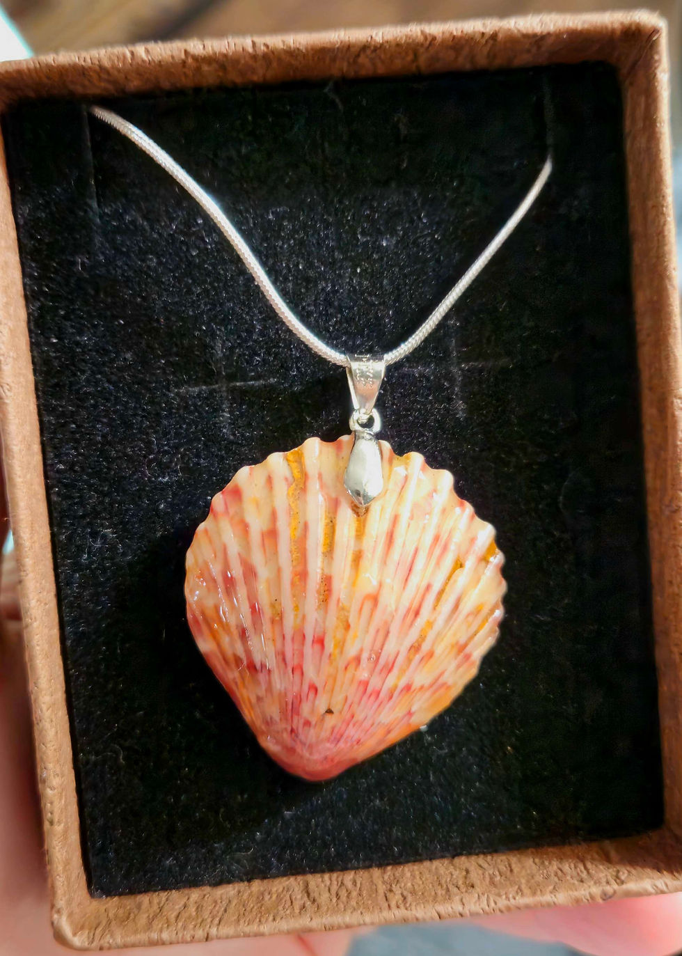Thumbnail: Large scallop shell necklace
