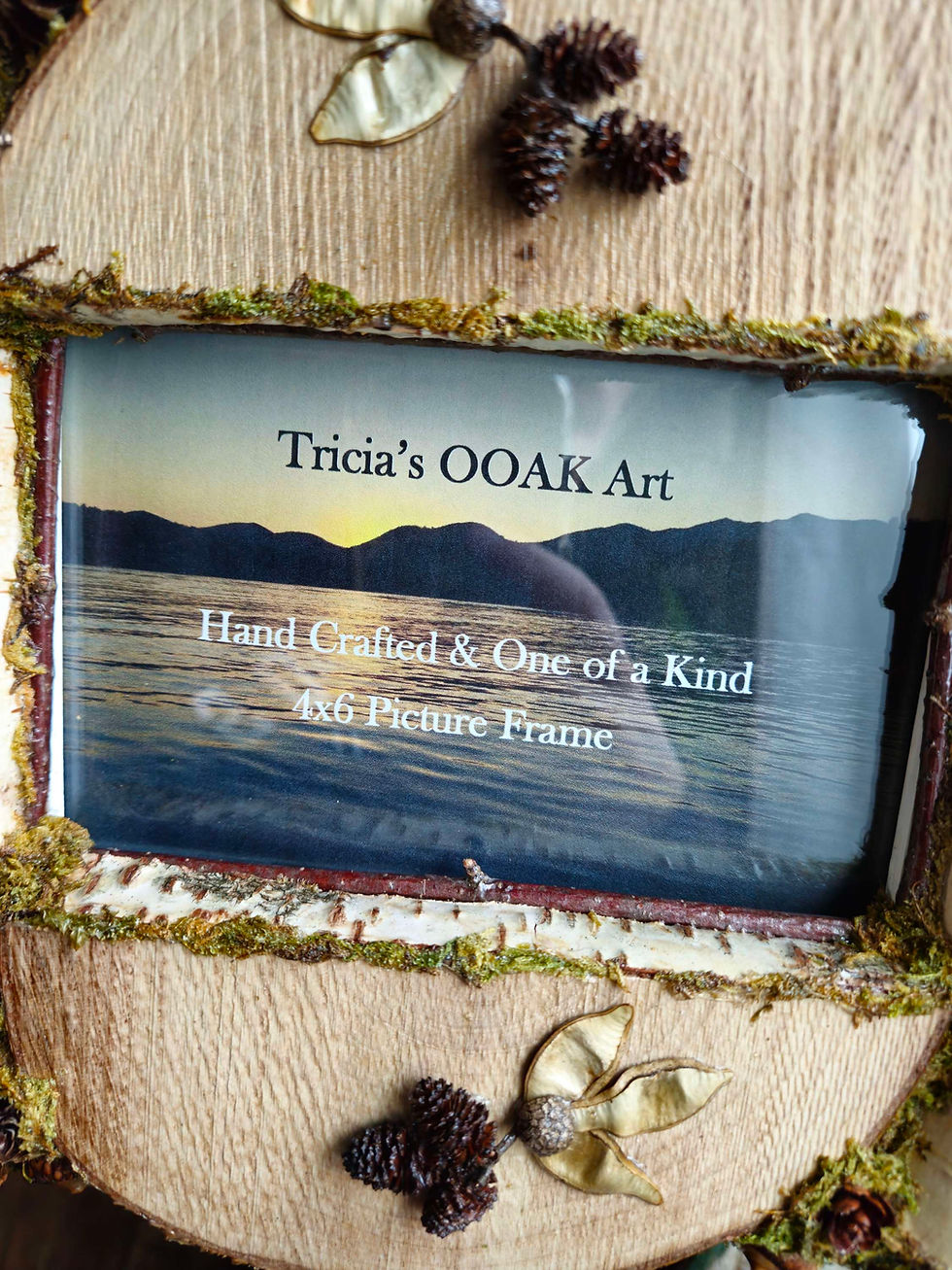 Thumbnail: Barn boards & birch frame 4x6