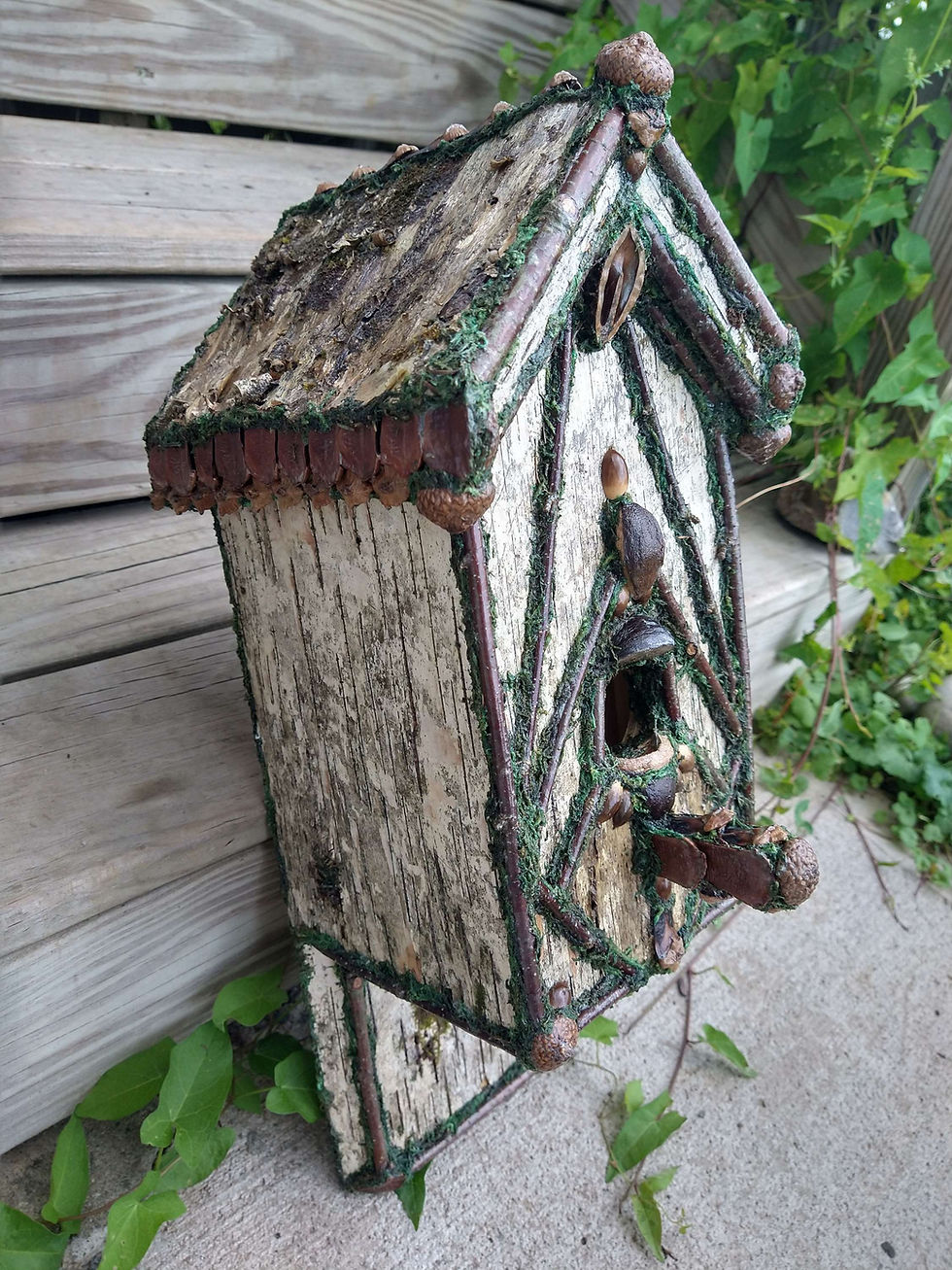 Thumbnail: Rustic Birch Birdhouse